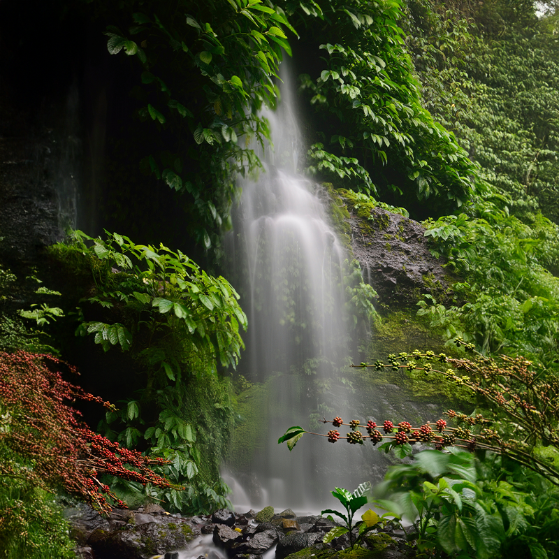 La Moccacía: Inspired by the Life-Giving Waters of Lengupá
